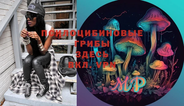 Альфа ПВП Мегион