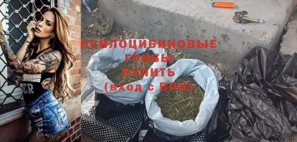 Альфа ПВП Мегион