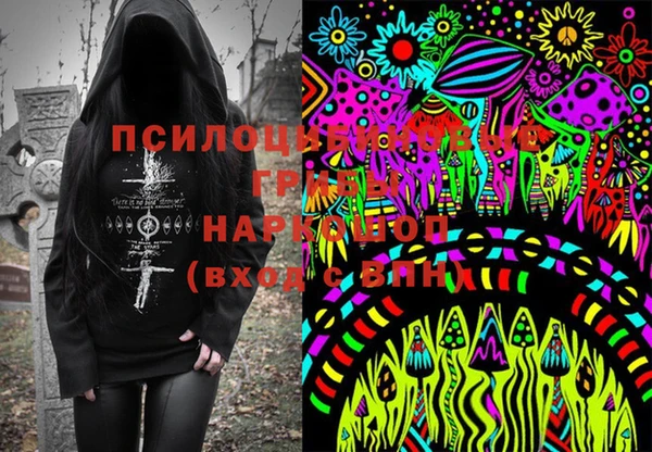сатива Магас