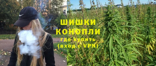 Альфа ПВП Мегион