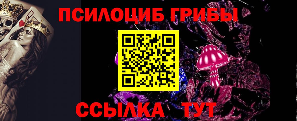 где купить наркоту  Вход с VPN  Псилоцибиновые грибы Cubensis  Армавир  Псилоцибиновые грибы прущие грибы 